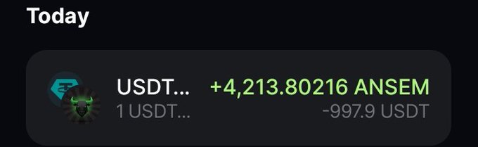 A transaction notification from "Today" shows a purchase of +4,213.80216 ANSEM tokens at a rate of 1 USDT, for a total cost of -997.9 USDT, reflecting the user's confidence in buying the dip on the $ANSEM token.