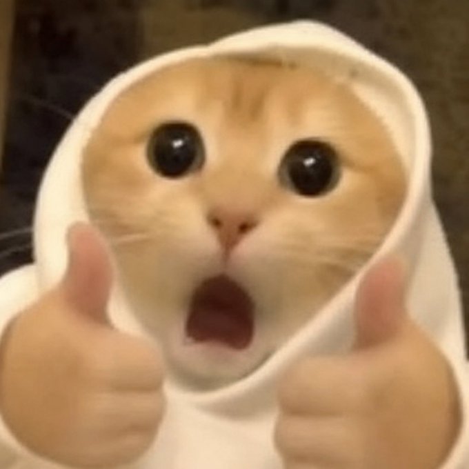 A popular internet meme featuring a cute orange and white cat wrapped in a white towel, giving two thumbs up with a surprised expression.