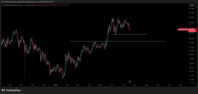 A TradingView daily chart of the $HYPE/USDT perpetual contract shows price around 50.860, down 2.93% (-1.535), with two horizontal support lines drawn near 48-50 supporting the post's call to buy any upcoming dips.