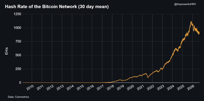 A line chart titled "Hash Rate of the Bitcoin Network (30 day mean)" shows the hash rate in EH/s from 2010 to 2026, peaking above 1,000 EH/s around 2025 before declining to approximately 900 EH/s, illustrating the post's claim of a significant 17% drop in BTC's hash rate.