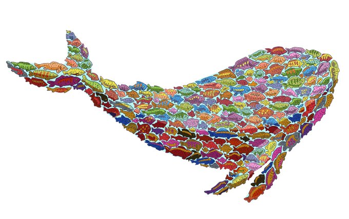 A colorful mosaic map of the contiguous United States made entirely of various stylized fish illustrations.