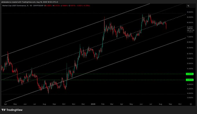 TradingView chart of Market Cap USDT Dominance showing an upward channel pattern from April 2024 through September 2025, with a current value around 8.061% and -0.427% change.