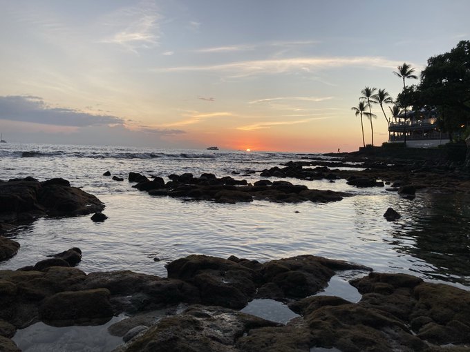 A serene coastal sunset scene with the sun setting over the ocean, viewed from a rocky shoreline with tide pools and palm trees silhouetted on the right.