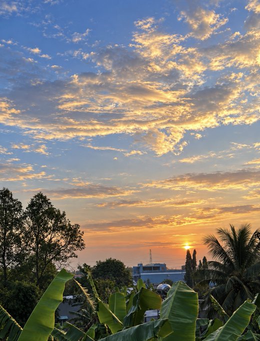 A scenic landscape photograph capturing a vibrant sunset with scattered golden clouds, the sun dipping near the horizon over trees and rooftops, with large banana leaves prominent in the foreground.