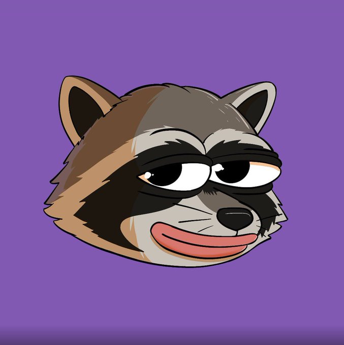 A stylized cartoon raccoon head with a smug expression floats against a purple background, serving as the mascot/logo for the $RAKO token airdrop announcement.