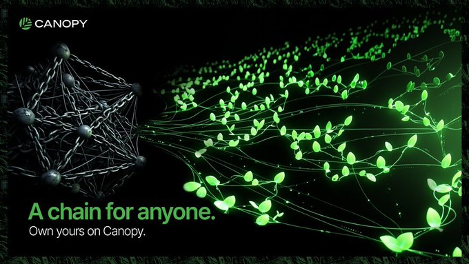 A promotional graphic for Canopy blockchain with the tagline 'A chain for anyone. Own yours on Canopy.' showing interconnected green nodes.