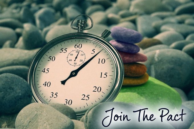 A vintage-style analog stopwatch rests on smooth stones next to a stack of colorful pebbles and a green surface, with the text 'Join The Pact' written in cursive in the lower right corner.