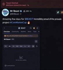 A screenshot of Mr Beast's Twitter (X) profile shows a pinned tweet about his "@MrBeast" YouTube channel, though the accompanying post alleges he is deleting tweets promoting the $BEAST crypto presale, which purportedly claims a $50B+ market cap at launch.