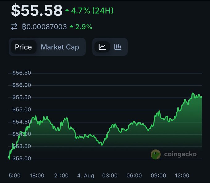 A CoinGecko price chart shows a token at $55.58, up 4.7% (24H) and 2.9% against BTC (฿0.00087003), with the price climbing from around $53.00 to $55.58 over the period from 5:00 on August 3rd to past 12:00 on August 4th. The bullish trend visualized in the chart supports the post's conviction in holding the $HYPE token (Hyperliquid) as a long-term bet.
