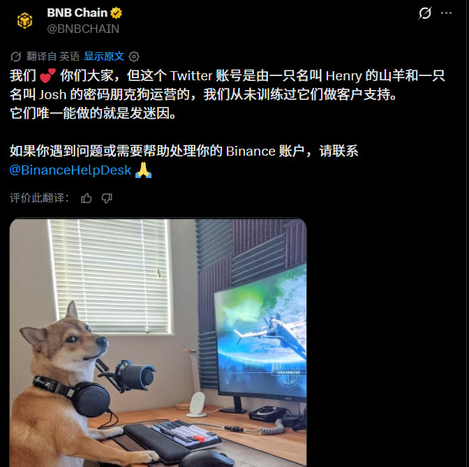 A BNB Chain Twitter post in Chinese jokes that their account is run by a goat named Henry and a Pembroke Welsh Corgi named Josh, and features a humorous AI-generated image of the Corgi wearing headphones at a gaming setup. The accompanying post confirms the dog's official name is "Josh" with the ticker reference to $BNBDog.