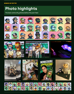 An app interface displaying "Photo highlights" under "MONKEBURU TWITCH," featuring a grid of stylized cartoon monkey avatars and several photos from a Twitch community stream.