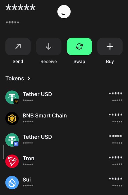 A dark-themed cryptocurrency wallet app interface showing masked balances and a list of tokens including Tether USD, BNB Smart Chain, and Tron, with action buttons for Send, Receive, Swap, and Buy.