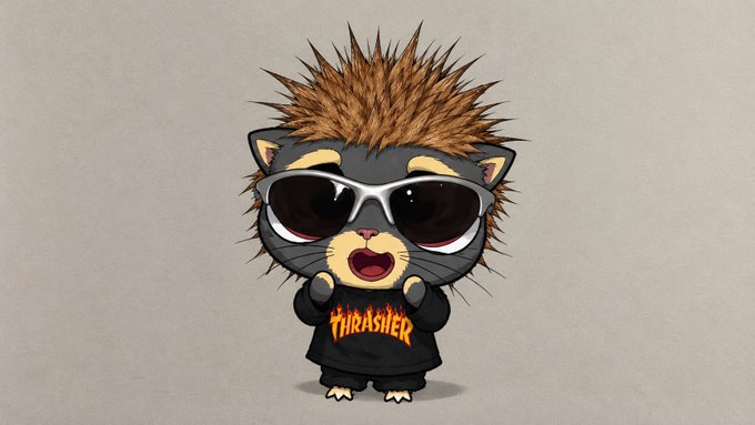 A cartoon illustration shows a cute grey kitten with messy brown hair wearing sunglasses and a black 'Thrasher' hoodie, posed against a plain beige background.