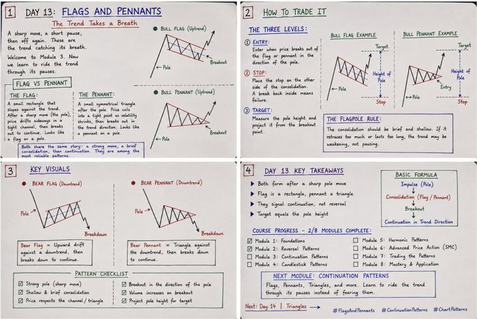 Handwritten trading study notes for "DAY 13: FLAGS AND PENNANTS" explaining bull flags, bear flags, pennants, pattern entry rules, key visuals, and continuation patterns with chart examples.