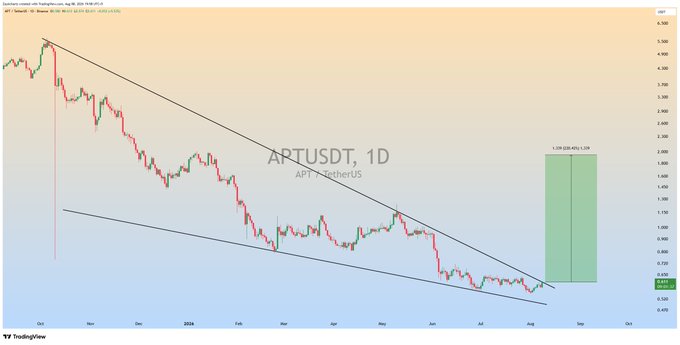 The image displays a 1D candlestick chart of APT/USDT (APT/AetherUS) on TradingView, showing a descending falling wedge pattern with a green projection zone on the right indicating an anticipated breakout to approximately 1.159 (22.92%) above the current price of 0.9435. The wedge is formed by converging trendlines from the October high (~$6.56) down to recent lows in the 0.90–1.00 range across a span from late 2023 through August 2024.