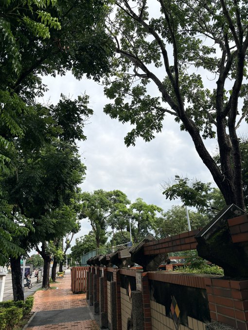 A street scene shows a tree-lined sidewalk alongside a brick and tiled wall under a cloudy sky.