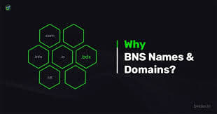 The image displays a presentation slide titled "Why BNS Names & Domains?" featuring a hexagonal honeycomb diagram with green-outlined hexagons showing ".bdx" connecting to various apps like ".bchat," ".bns," and ".bwallet." This visual illustrates the concept described in the post, where a single BNS name from Beldex Coin links multiple privacy-focused services—BChat, Beldex Wallet, and BelNet—into one unified ecosystem.