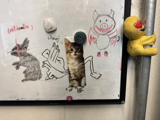 A whiteboard with doodles and labels like "(civilization)" and "Usagi," a photo of a tabby cat in the middle, and a yellow plush toy clinging to a metal pole on the right.