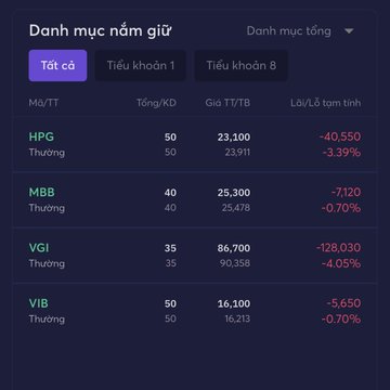 Vietnamese stock portfolio dashboard titled 'Danh mục nắm giữ' showing holdings in HPG, MBB, VGI, and VIB with negative profit/loss values displayed in red.