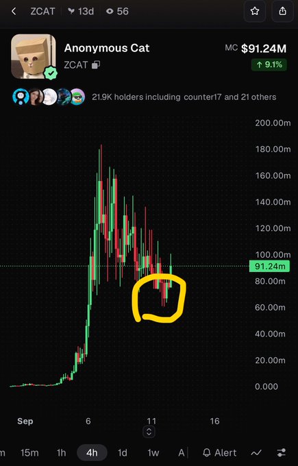 A cryptocurrency price chart for ZCAT (Anonymous Cat) showing a market cap of $91.24M, with a yellow circle highlighting a recent price dip.