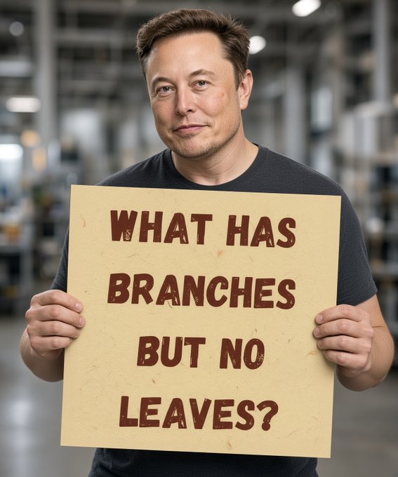 A man resembling Elon Musk holds a yellow sign with the riddle 'WHAT HAS BRANCHES BUT NO LEAVES?'