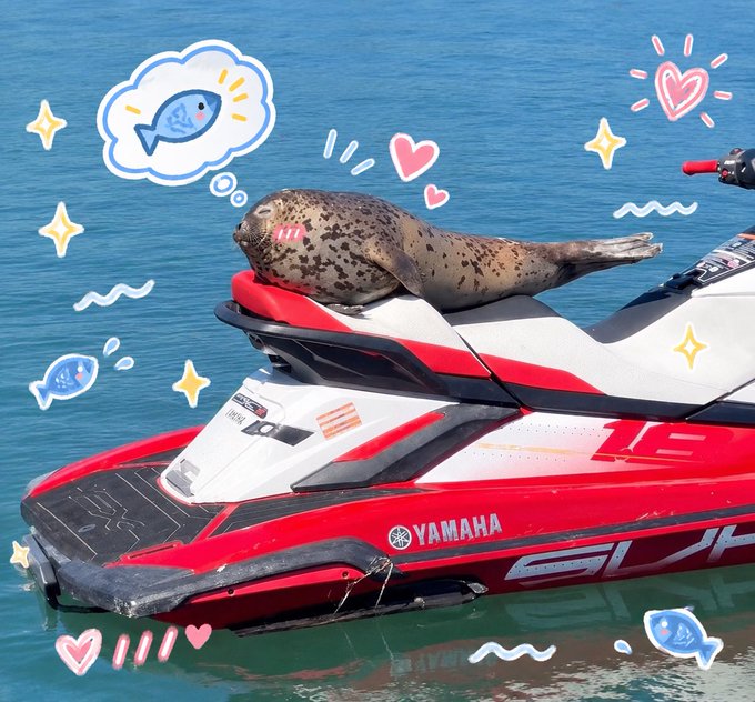 A spotted seal lies on the back of a red and white Yamaha jet ski in the water, with the image decorated with playful digital doodles of hearts, stars, fish, and waves in the surrounding space.
