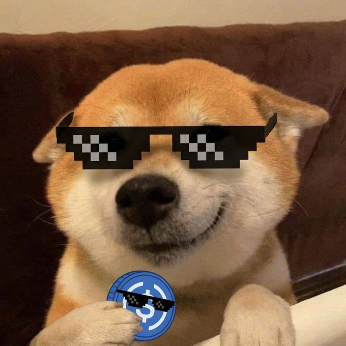 A Shiba Inu dog wearing pixelated "deal with it" sunglasses is photoshopped holding a blue coin with a similar pair of sunglasses on it, referencing the ARC token launch teased in the accompanying post about joining the network early on mainnet.