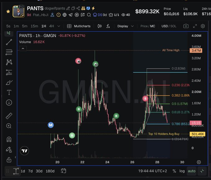 A cryptocurrency price chart for the token 'PANTS' (dogwifpants) shows a current price of $899.32K, down 91.87% on the 1-hour timeframe, with an all-time high marked at 3.47M.