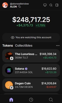 The image shows a cell phone screen displaying information about various cryptocurrencies, including Bitcoin and Solana. The screen also has a message from Alon wallet viewer, which reads "看来 Pumpfun 创始人 Alon 现在正式成为 $DEGEN 的最大股东,持股超过 2.4% 几天前,Alon 还与 $DEGEN 的一条推文互动,导致股价突破 280 万大关..."