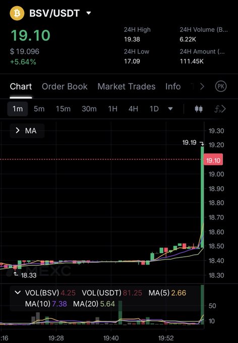 A cryptocurrency trading chart showing the BSV/USDT pair at $19.10, up 5.64%, with a candlestick chart displaying a sharp recent price spike.