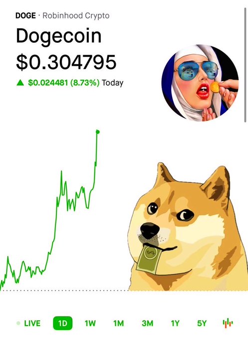 A Robinhood Crypto screenshot shows Dogecoin (DOGE) trading at $0.304795, up $0.024481 (8.73%) for the day, with a green upward price chart and the iconic Shiba Inu "Doge" mascot illustration, commemorating the user's birthday when the meme coin hit 30¢.