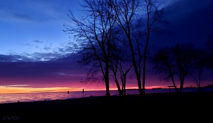 A serene sunset landscape shows silhouetted bare trees against a vibrant purple and orange sky over a calm body of water, signed '~Morgan~'.