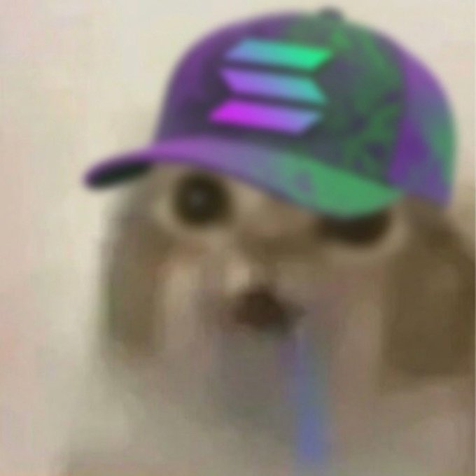 A blurry, low-resolution photo of a small white dog wearing a colorful purple, green, and pink baseball cap with illuminated stripes on the front.