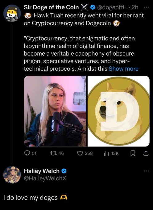 A Twitter/X post by 'Sir Doge of the Coin' (@dogeoffi...) discussing Hawk Tuah's viral rant on cryptocurrency and Dogecoin, featuring an image of Haliey Welch next to a Dogecoin logo, followed by Welch's reply 'I do love my doges'.