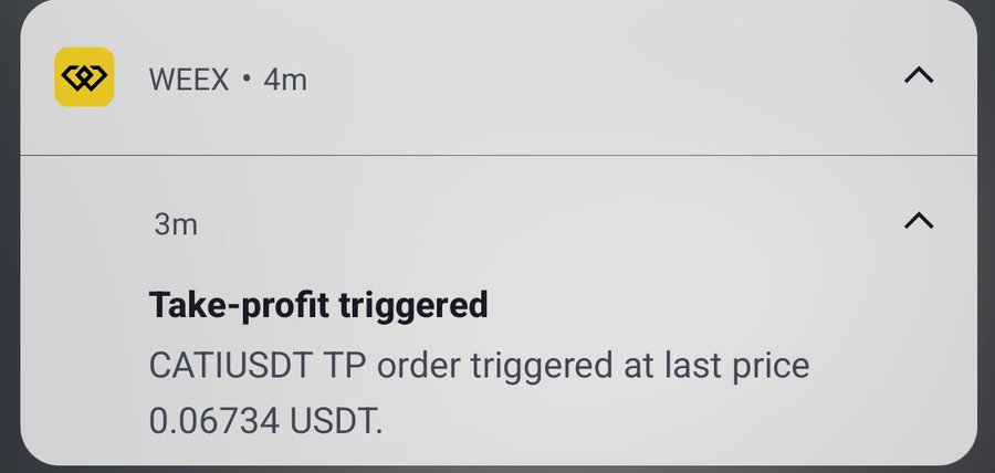 A screenshot of a notification from WEEX stating 'Take-profit triggered' for a 'CATIUSDT TP order triggered at last price 0.06734 USDT.'