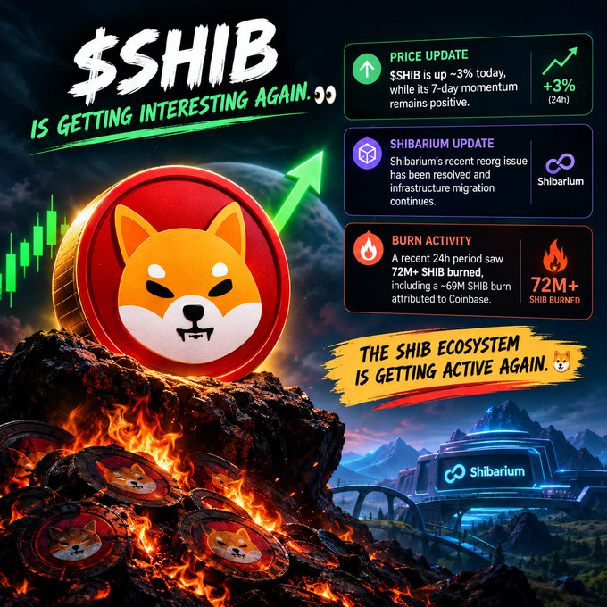 A promotional graphic for $SHIB features the Shiba Inu logo coin with price update showing +3% gain, Shibarium reorg resolution, and 72M+ SHIB burned activity, captioned 'IS GETTING INTERESTING AGAIN.'