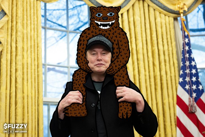 Elon Musk poses in front of an American flag and gold curtains while wearing a black jacket and a baseball cap, with a cartoonish brown bear/monster cutout placed over his head and shoulders. The image is overlaid with a $FUZZY on XRP Ledger watermark, aligning with the celebratory XRP/crypto community post marking Musk's birthday.
