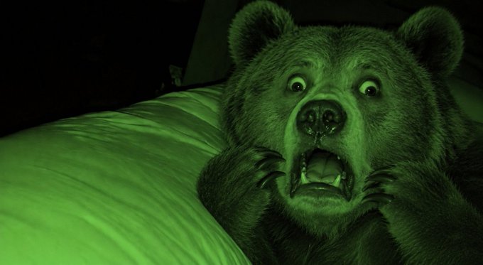 A frightened-looking bear with wide eyes and an open mouth, hiding under what appears to be a green pillow in a dark setting illuminated by green light.