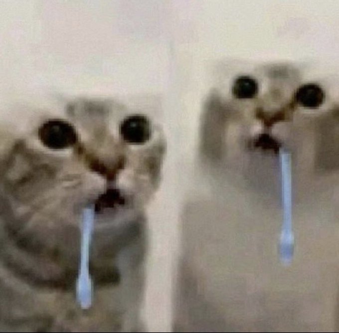 The image features two cats sitting next to each other, with one of them holding a toothbrush in its mouth. They are both looking at the camera, giving off an impression that they might be mimicking human behavior or expressing their opinions on the matter. The caption below the photo reads "I'm such a drooler I still believe in SOL". This phrase is likely a reference to the famous line from the movie "The Princess Bride" by William Shakespeare, which features a character named "Princess" who proclaims "I am a drooler; I still believe in solubility."
