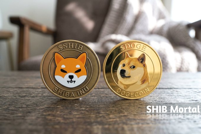 A photo showing physical Shiba Inu (SHIB) and Dogecoin (DOGE) commemorative coins on a wooden table, watermarked 'SHIB Mortal'.
