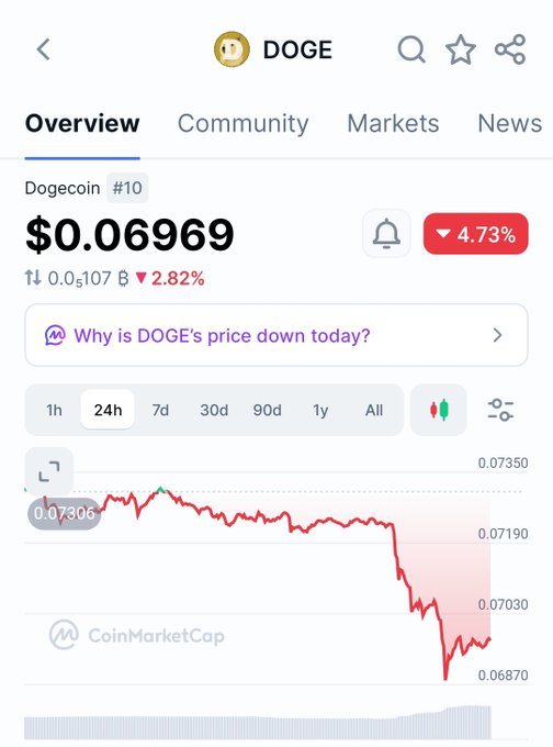 A CoinMarketCap screenshot of Dogecoin (DOGE) priced at $0.06969, down 2.82% over 24 hours with a red downward chart trend.