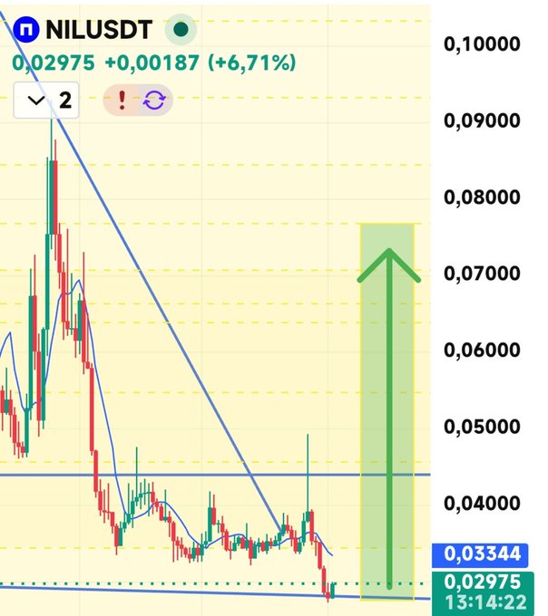 A TradingView chart of NILUSDT shows the price at 0.02975 (+6.71%), trading near a key support zone highlighted by a green arrow pointing upward toward the 0.07500 resistance level. The post's caption ("$NIL tepki noktasına iyi bakın... boss'a saygı duy") emphasizes watching the reaction point carefully, with the chart visually marking a potential bounce area where price has consolidated near the lower boundary before the projected upward move.