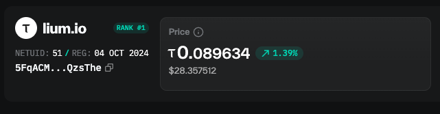 A cryptocurrency price card for lium.io showing a rank of #1, a price of 0.089634, up 1.39%, with a market cap of $28.357512.