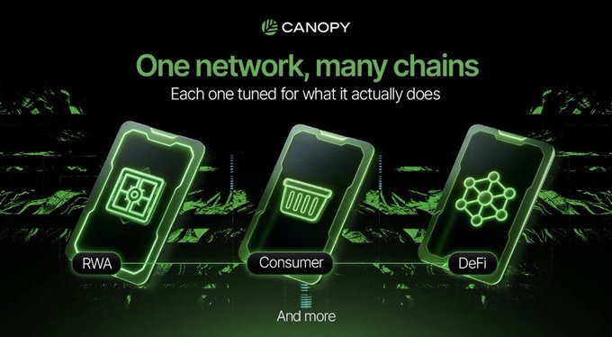 A promotional graphic for Canopy titled 'One network, many chains,' highlighting three categories: RWA, Consumer, and DeFi, displayed as glowing cards.