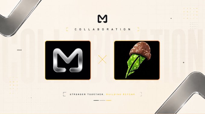 A collaboration announcement graphic featuring the Mystic logo (M) alongside the Robin Wif Hat branding (acorn with a green leaf wearing a brown beanie), with text reading "COLLABORATION," "STRONGER TOGETHER. BUILDING BEYOND." The image promotes a whitelist allocation partnership between the Mystic community and Robin Wif Hat, encouraging viewers to join for an upcoming code drop.