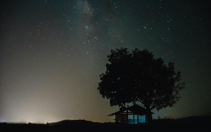 The image shows a tree with a small hut at its base, situated under a starry night sky. The scene appears to be set in an open field or a rural area, possibly near a forest. The presence of stars in the sky adds to the serene and peaceful atmosphere of the scene.