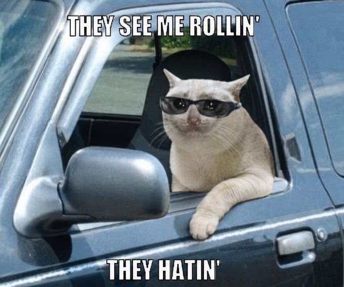 A humorous meme showing a cat wearing sunglasses while leaning out of a car window, with the text 'THEY SEE ME ROLLIN' at the top and 'THEY HATIN'' at the bottom.