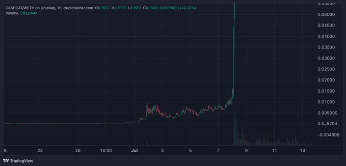 A TradingView chart of CASHCAT/WETH on Uniswap shows a long period of sideways price action (around 0.001-0.01) before a massive vertical spike to ~0.05 around July 8th, illustrating the post's point about meme coins remaining flat until sudden explosive pumps—reinforcing the "bet on Monad" narrative.