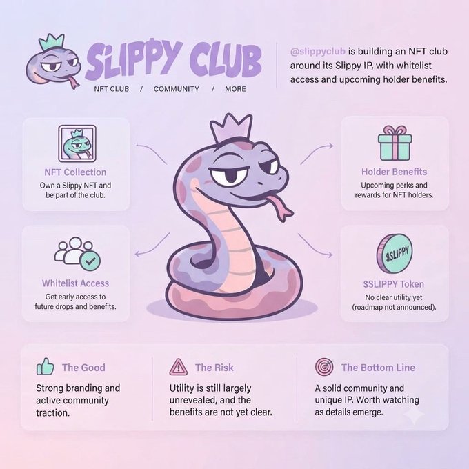 An infographic for 'SLIPPY CLUB', an NFT club built around its Slippy IP, detailing its NFT Collection, Holder Benefits, Whitelist Access, and $SLIPPY Token, alongside sections labeled 'The Good', 'The Risk', and 'The Bottom Line'.