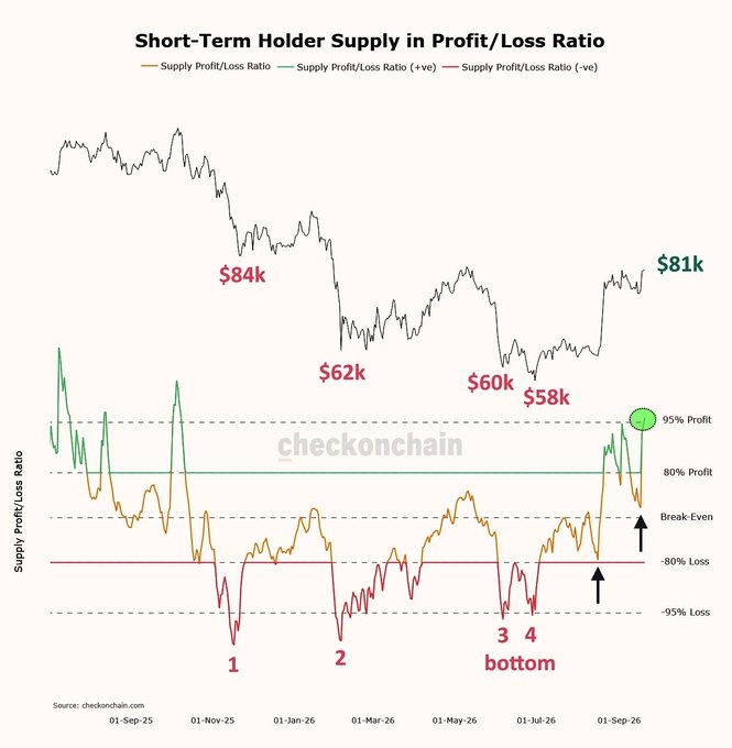 The chart titled "Short-Term Holder Supply in Profit/Loss Ratio" tracks Bitcoin's price action from September 2025 through September 2026, showing key price levels ($84k, $62k, $60k, $58k, $81k) alongside four marked "bottom" signals and indicating 95% profit and -95% loss extremes for short-term holders. The visualization supports the post's claim about the challenging bear market by illustrating the repeated false break-even crossings and multiple bottom signals, reflecting the "endless chop" and "hopium relief rallies" that defined this cycle despite the percent drawdown being relatively contained.